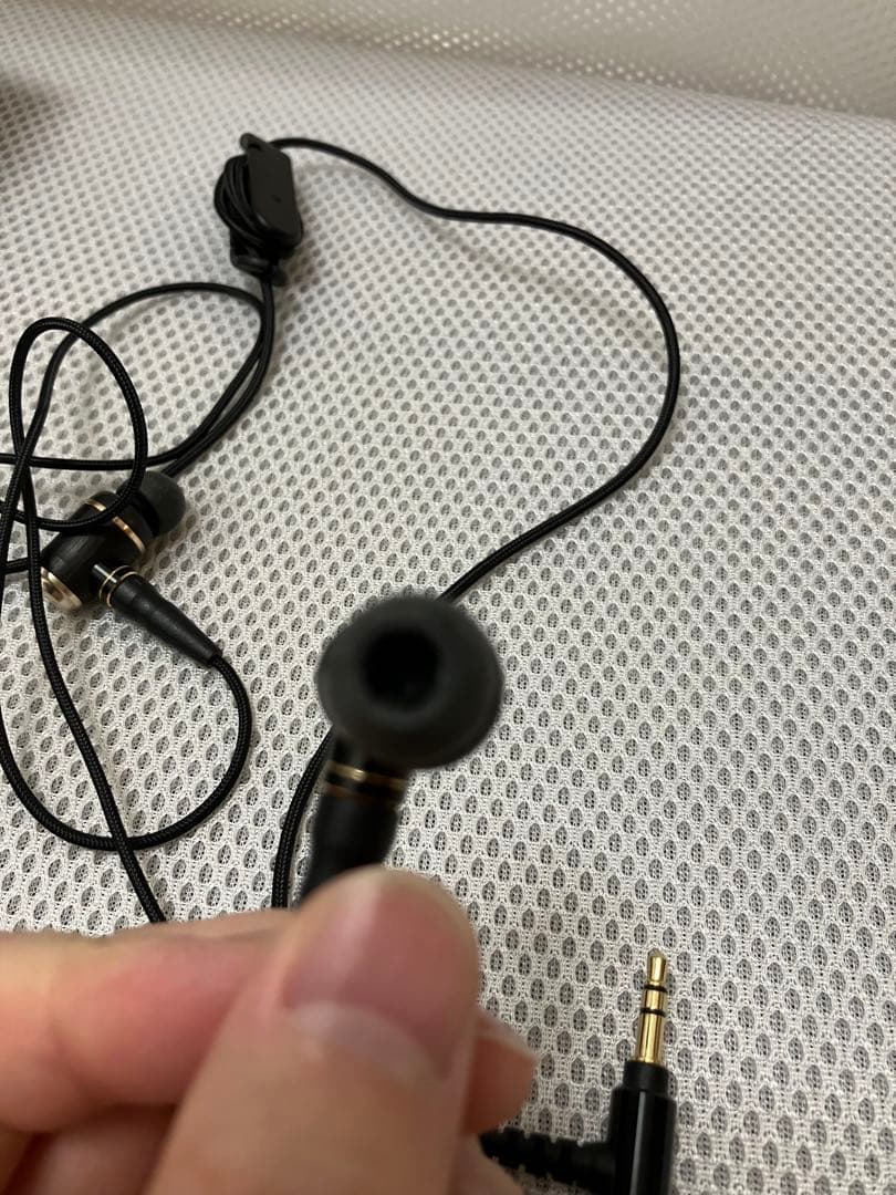 ほぼ未使用 JVC HA-FX1100 ウッドハウジング イヤフォン