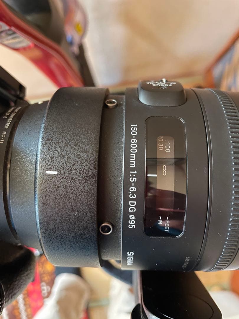 ラスト！SIGMA 150-600mm F5-6.3 DG OS HSM