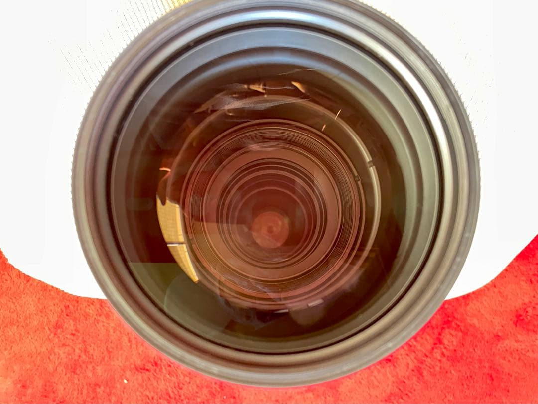 ラスト！SIGMA 150-600mm F5-6.3 DG OS HSM