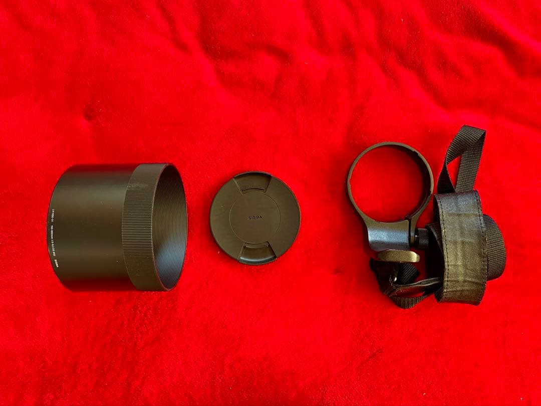 ラスト！SIGMA 150-600mm F5-6.3 DG OS HSM