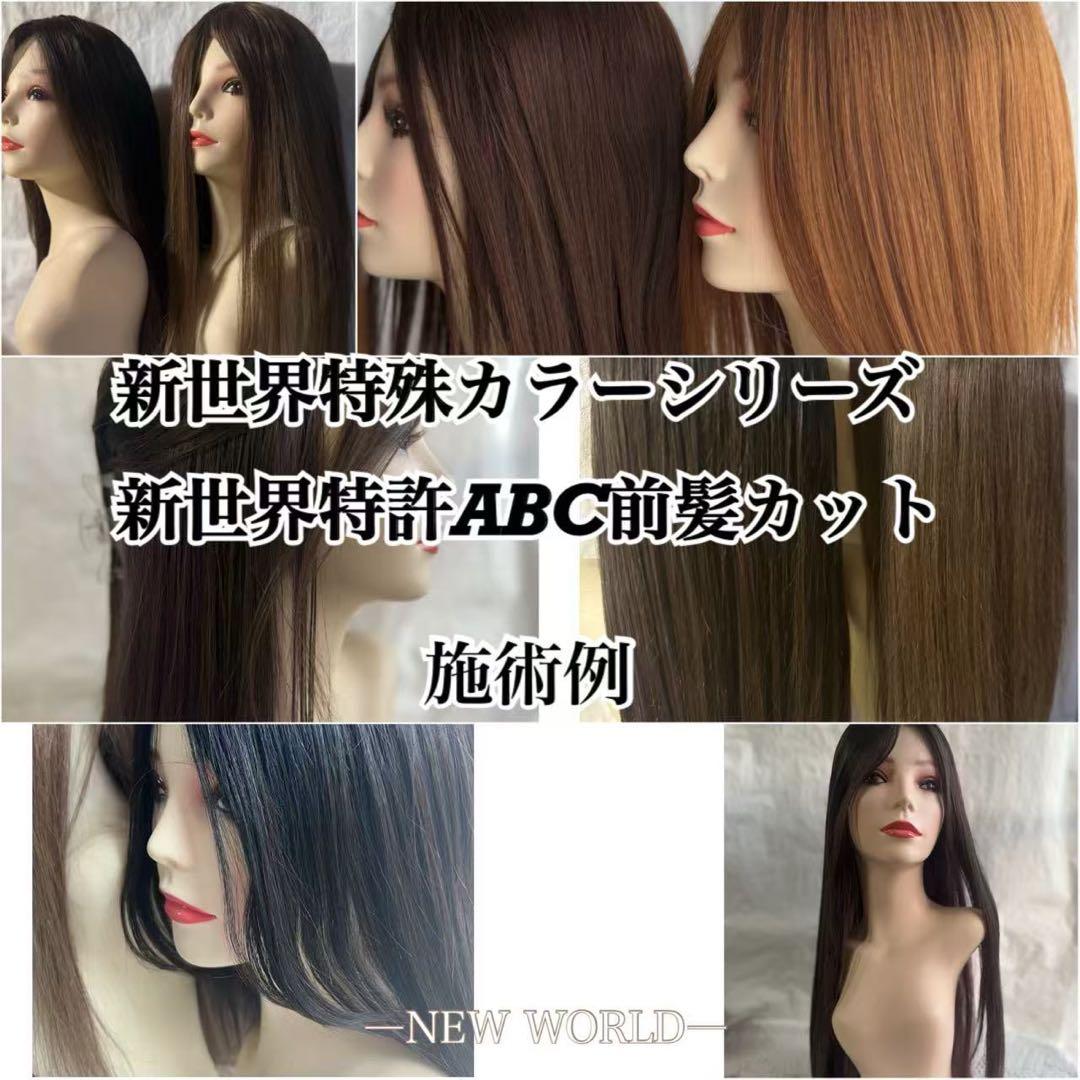 2025新世界　人毛　ウィッグ　フルウィッグ　シルクスキン　医療ウィッグ　レミー