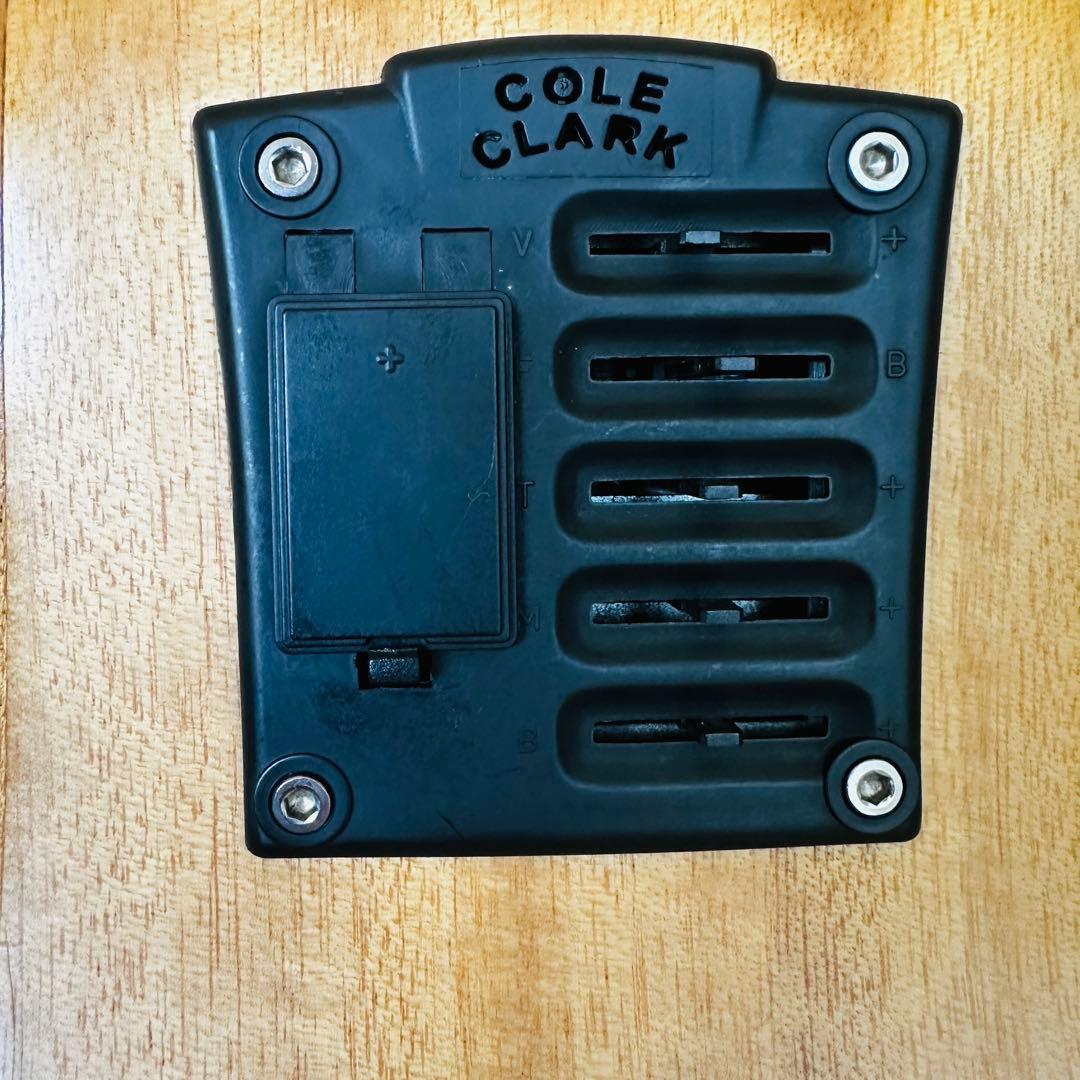 Cole Clarkアコースティックギター ハードケース付き