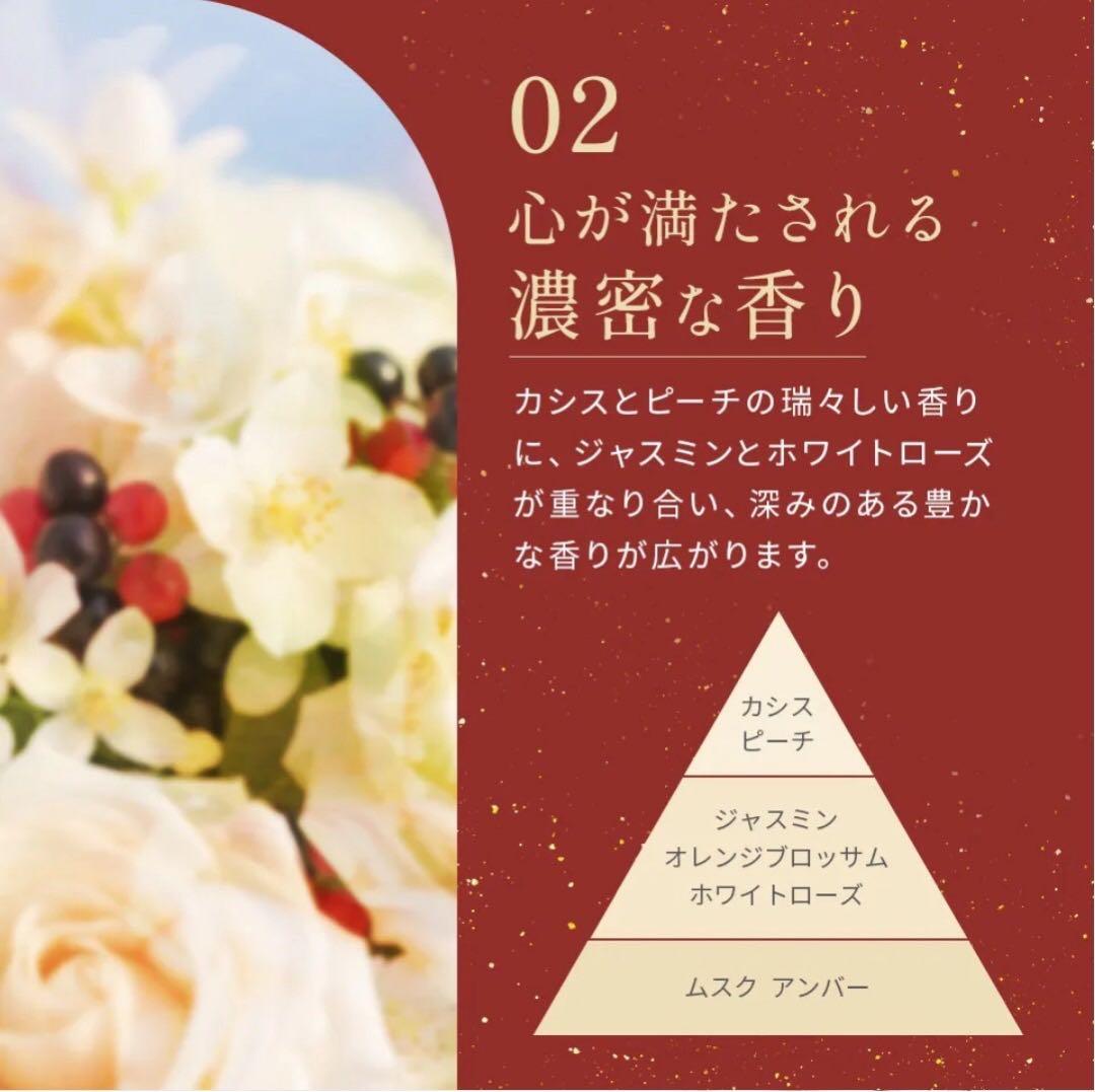 MEDULLA クリスマス限定特別セット　ソニックシャインプロ　超音波アイロン