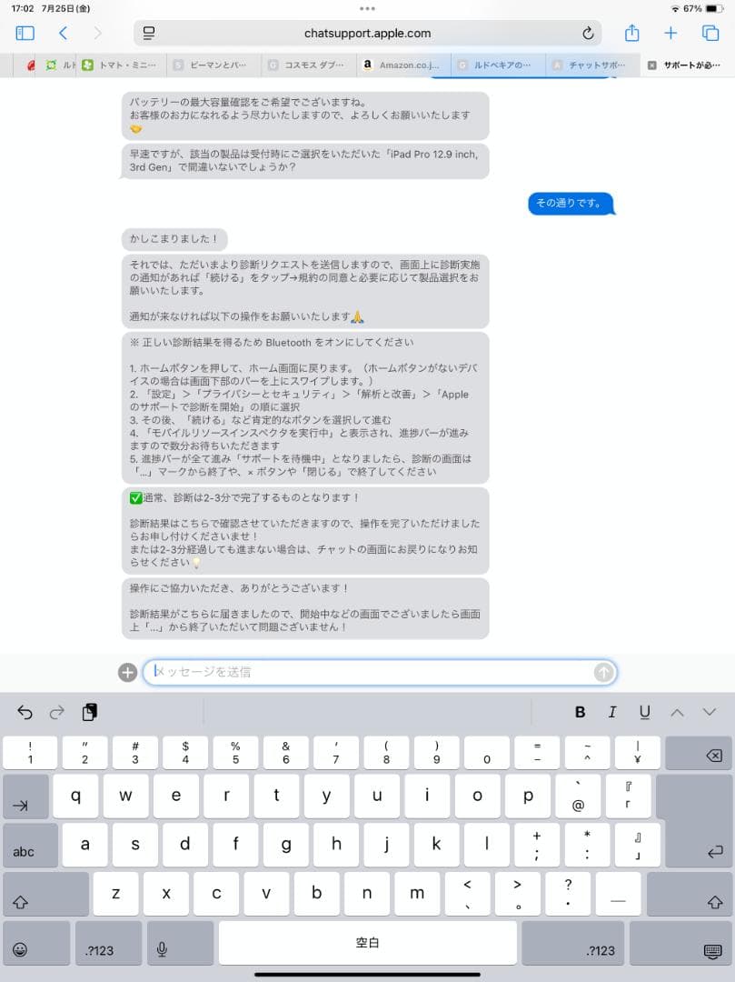 美品 iPad pro 12.9インチ 256GB wifi+cellular