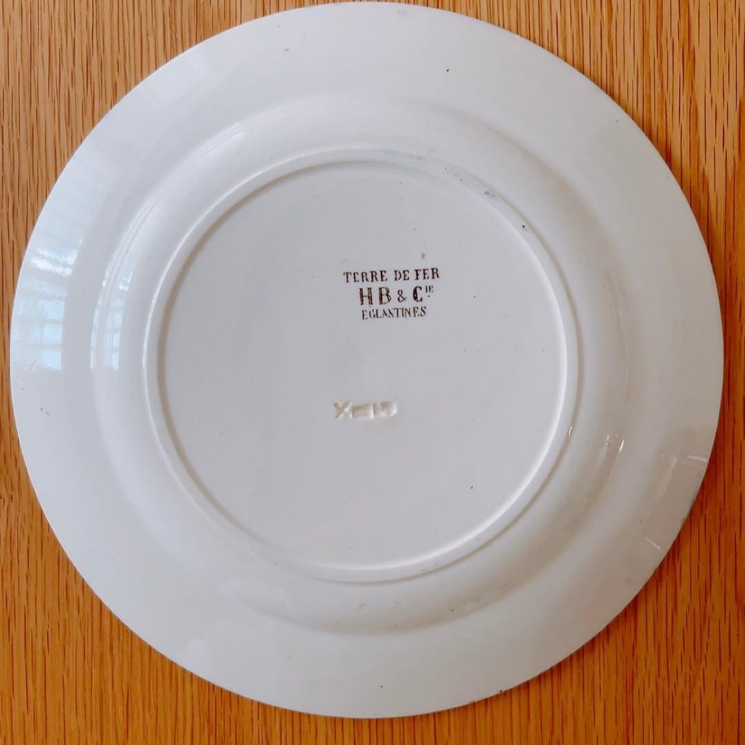 Choisy le roi ショワジールロワ EGLANTINES