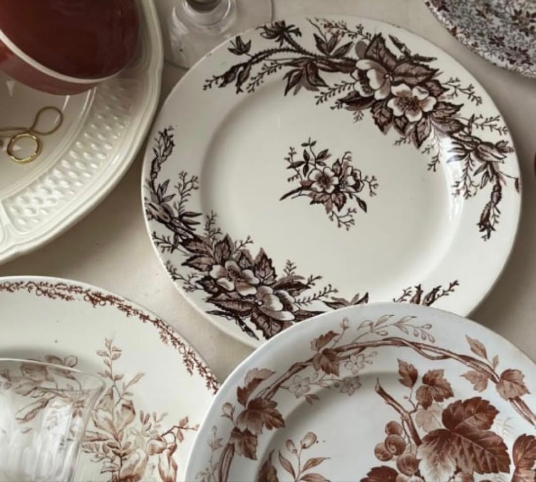 Choisy le roi ショワジールロワ EGLANTINES