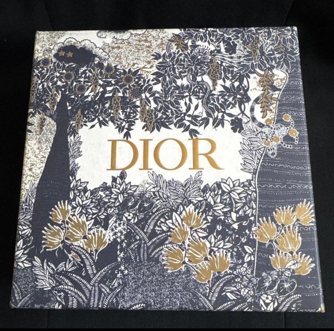 Christian Dior ロゴ入りレザーベルト