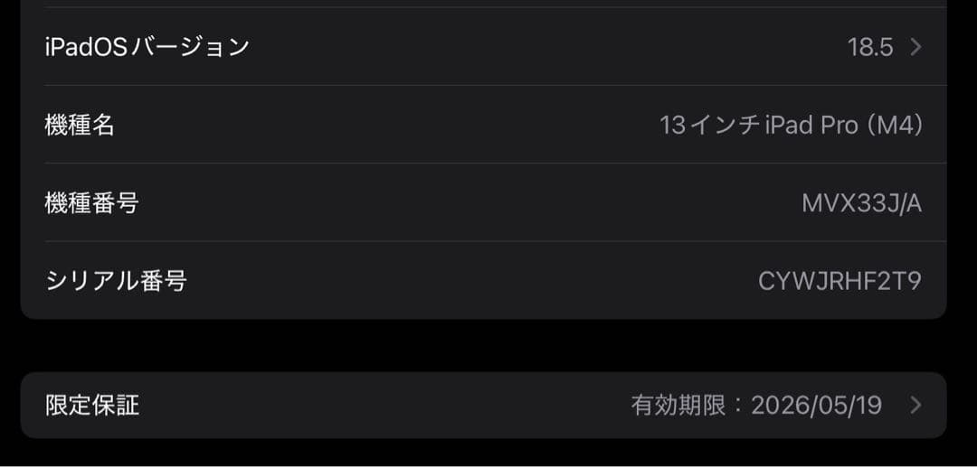 iPad Pro 13インチ M4 256GB Wi-Fi シルバー