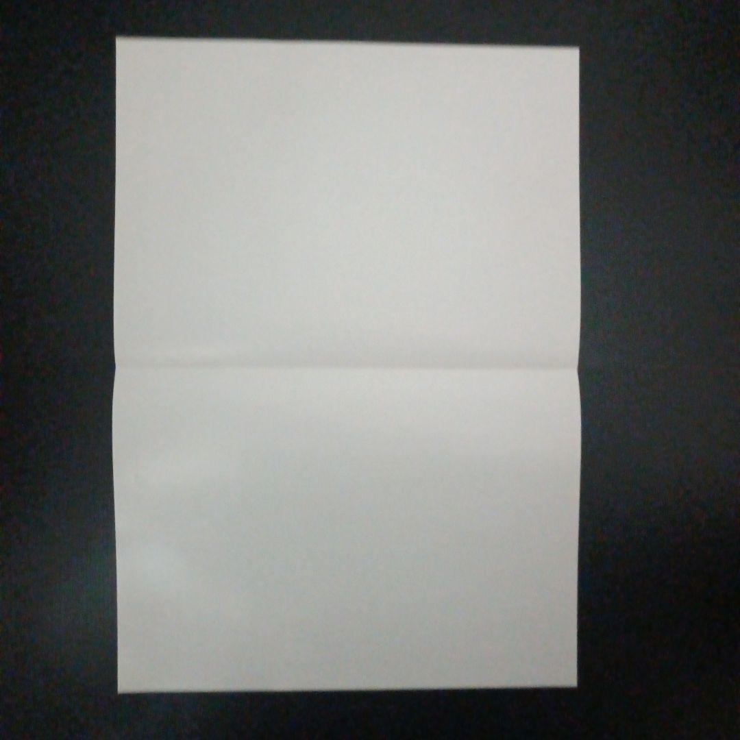 ポケモンカードゲームBW　マスターデッキビルドBOX EX　店舗用ポスター　1枚