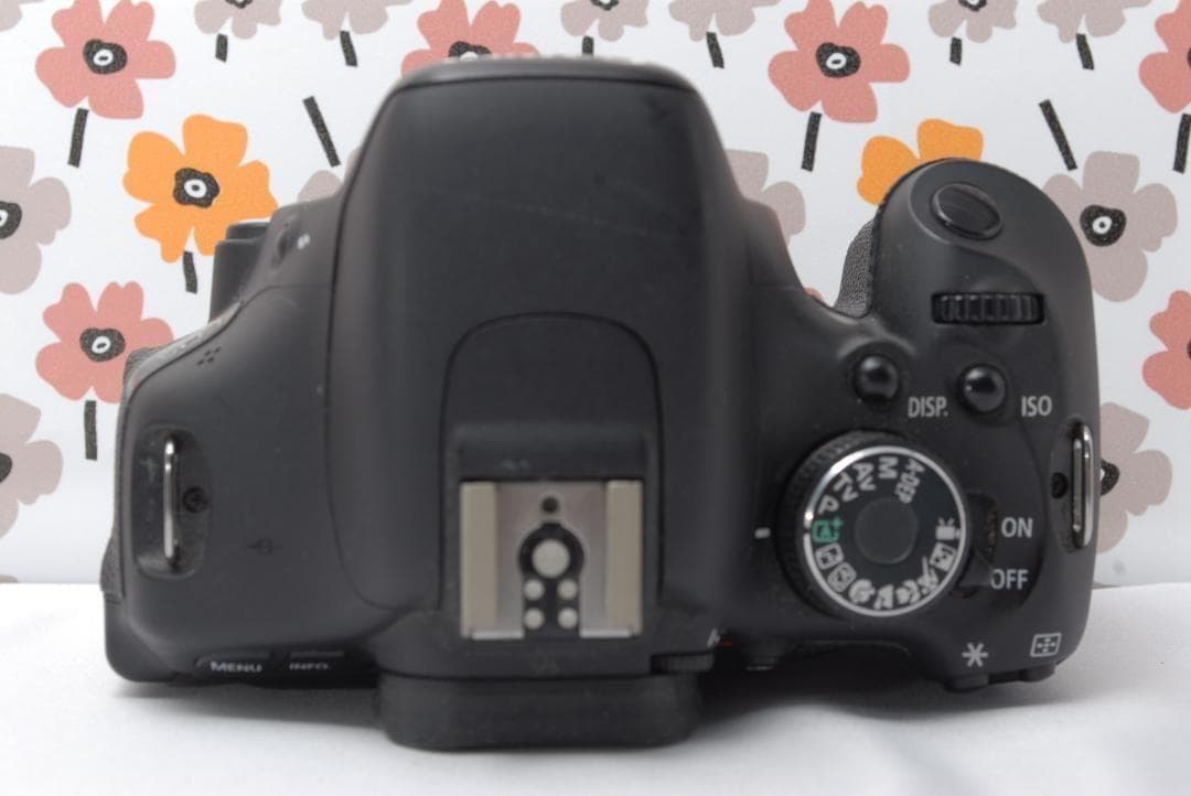 ❤Canon Kiss X5❤望遠レンズデビュー❤スマホ転送OK❤動画撮影OK❤