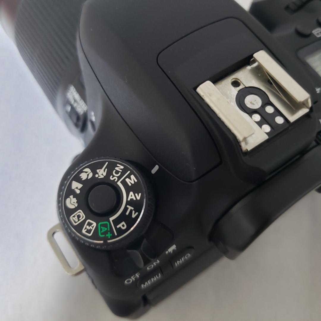 ★Canon EOS 8000D + EF-S 55-250mm IS STM