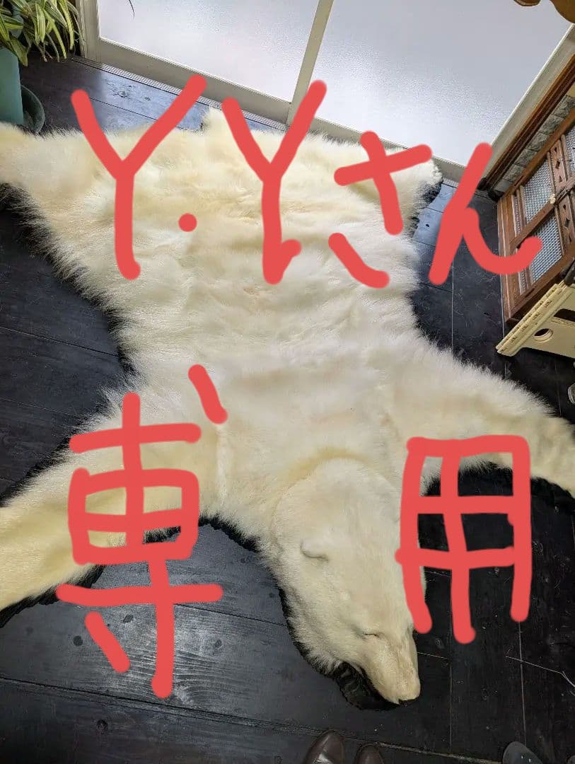 しろくま　剥製