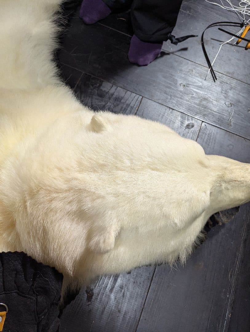 しろくま　剥製