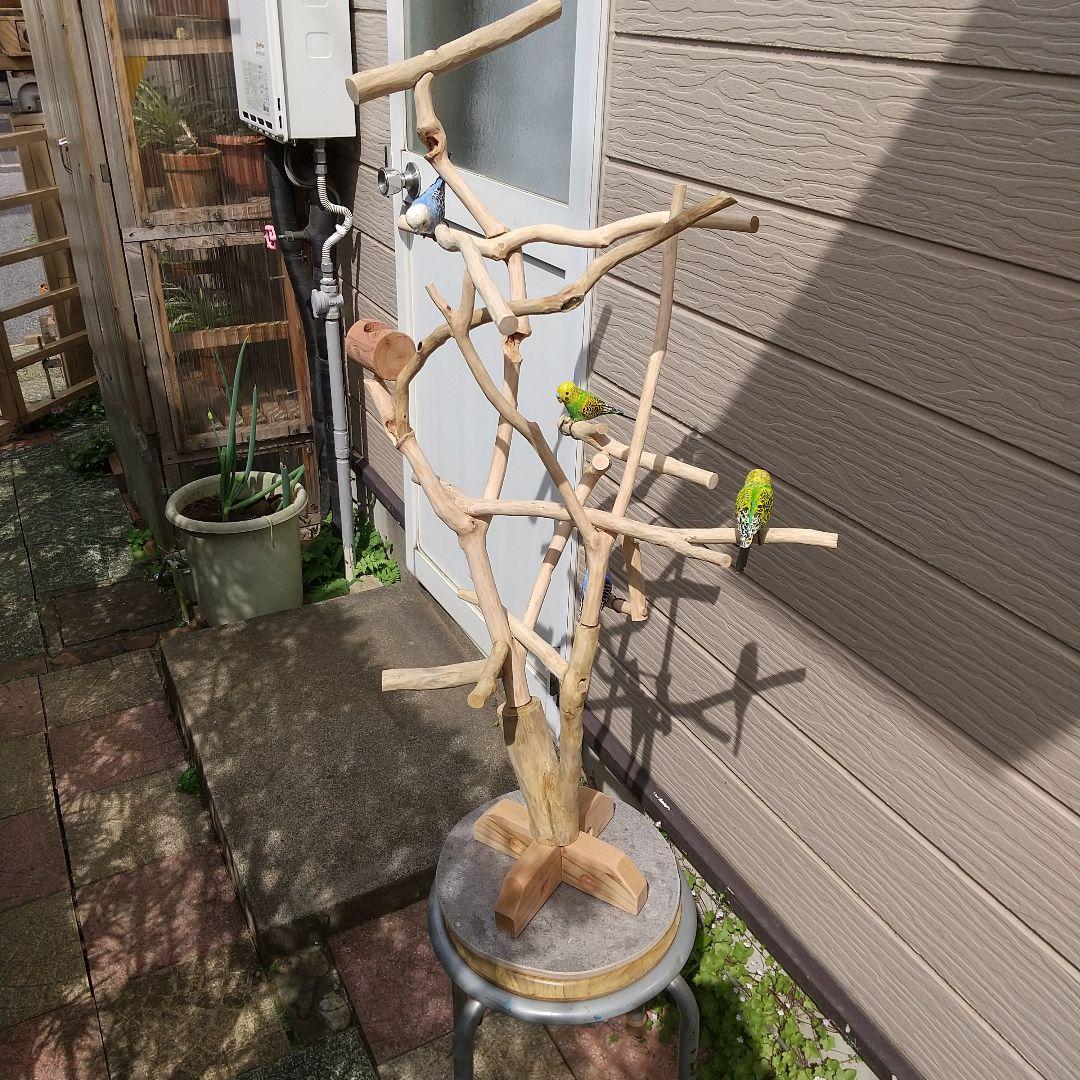 小鳥の楽園バードアスレチックツリージム