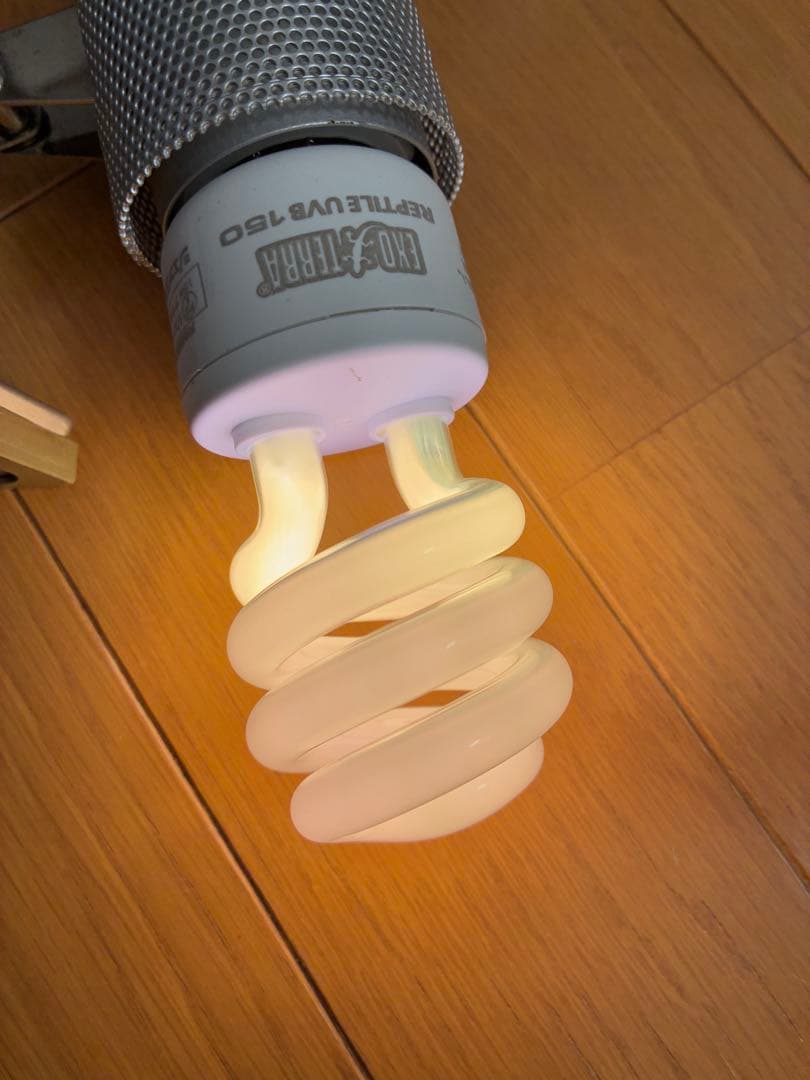 【未使用】爬虫類セット バスキングランプ 保温ランプ 紫外線 ヒーター エサ