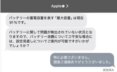 iPad本体 iPad mini Wi-Fi + Cellular 256GB