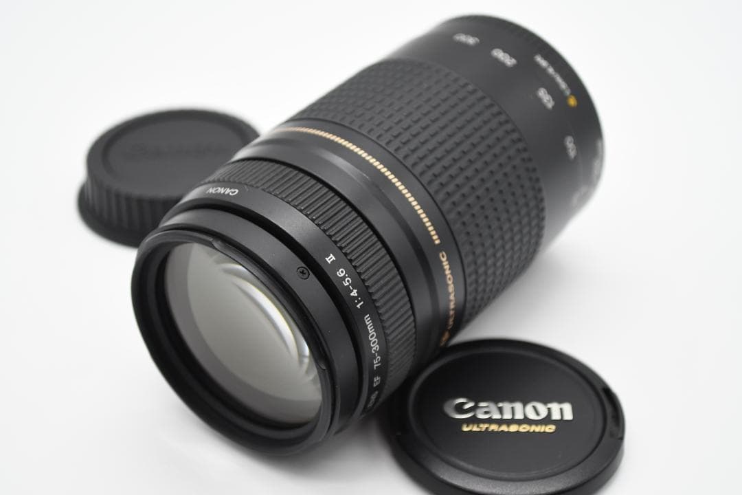⭐️美品⭐️ Canon EF 75-300mm F4-5.6 II USM