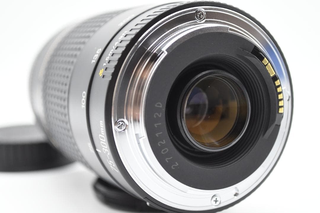 ⭐️美品⭐️ Canon EF 75-300mm F4-5.6 II USM
