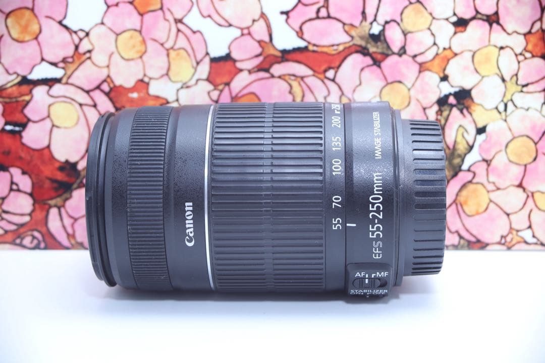 ❤お手頃望遠❤キヤノン EF-S 55-250mm F4-5.6 IS ❤