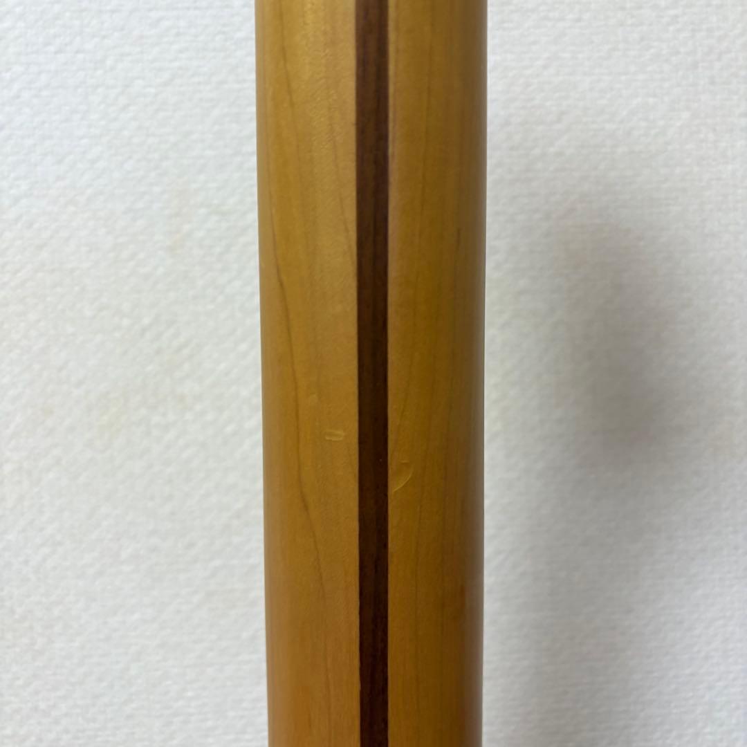 FUJIGEN 2012年製 テレキャスターシンライン 国産本格モデル