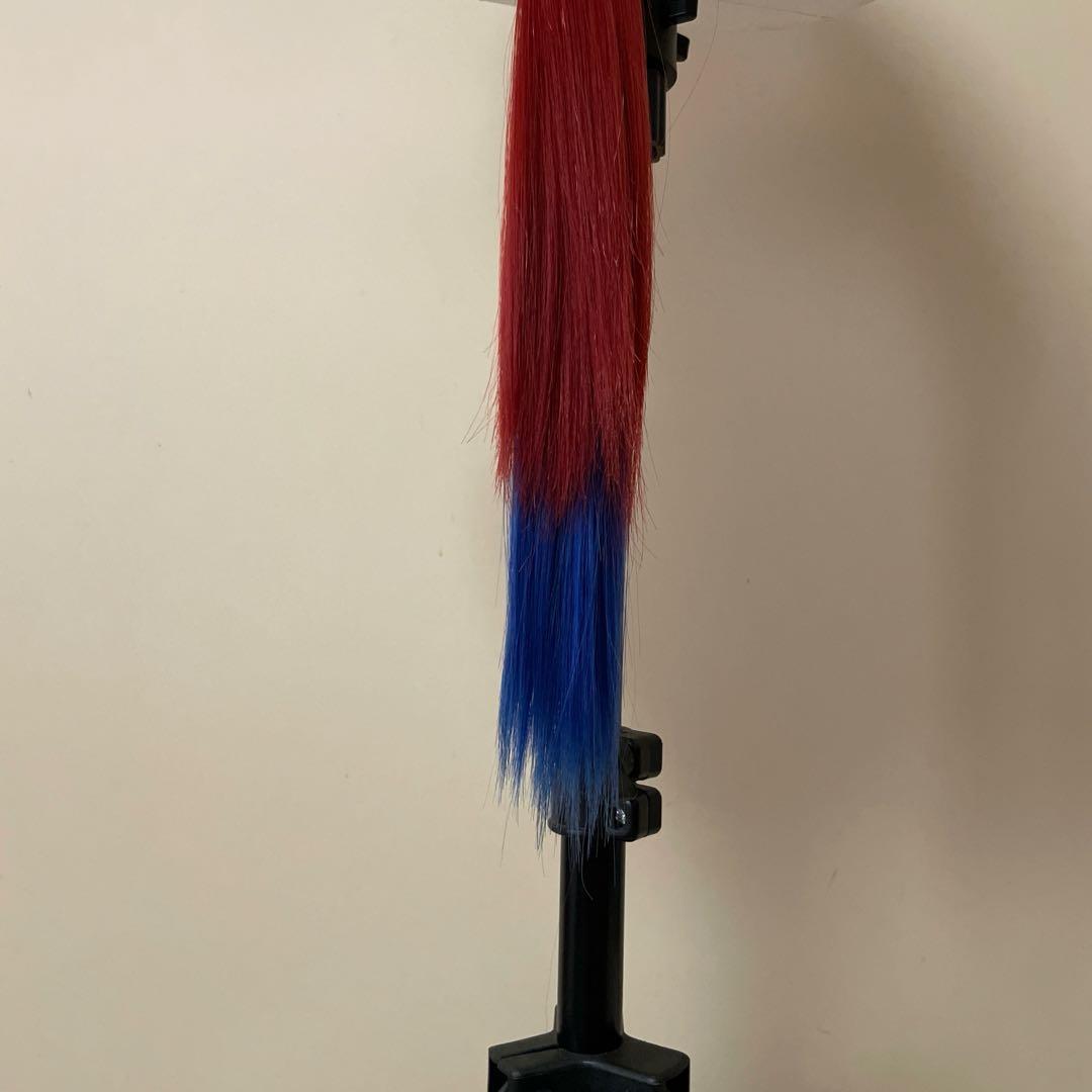 オウム ダンサー 風　ウィッグ　Dハロ　仮装　コスプレ　フレンジー