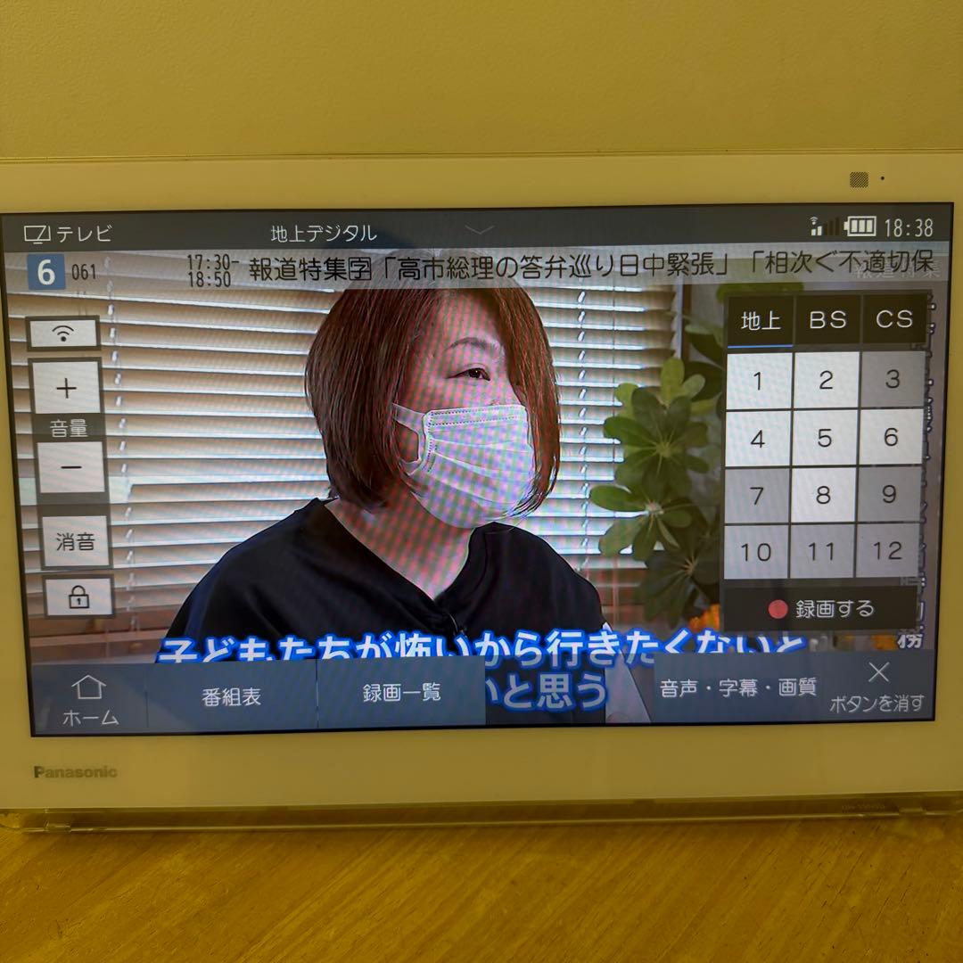 Panasonic プライベートビエラ UN-15N9D 15インチ