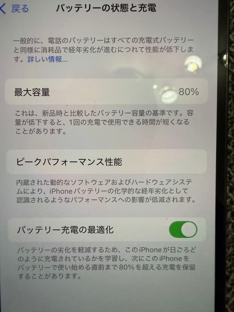 【美品＋おまけ】iPhone13Pro 256GB グラファイト