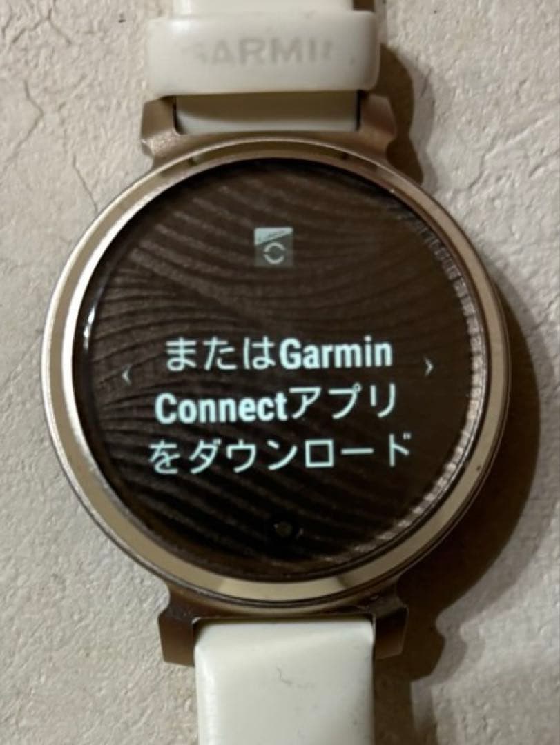 Garmin lily2 セット