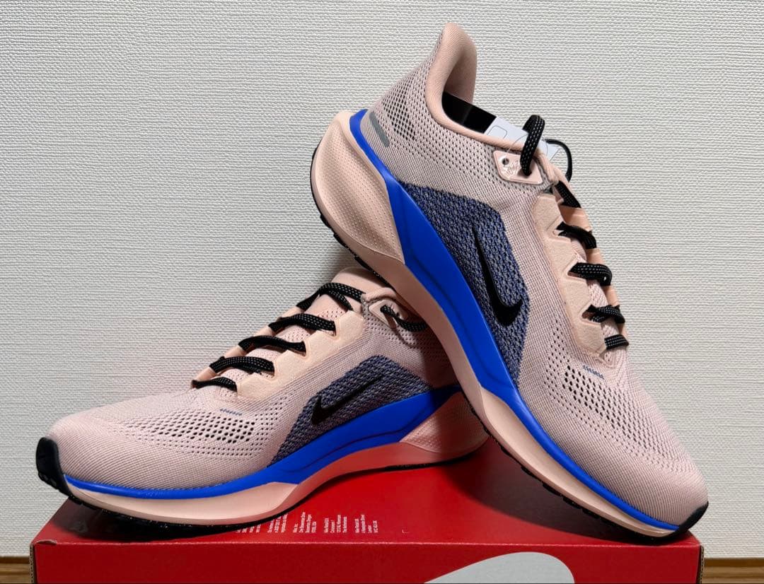 ナイキ ペガサス 41 NIKE Pegasus 41 27.5㎝