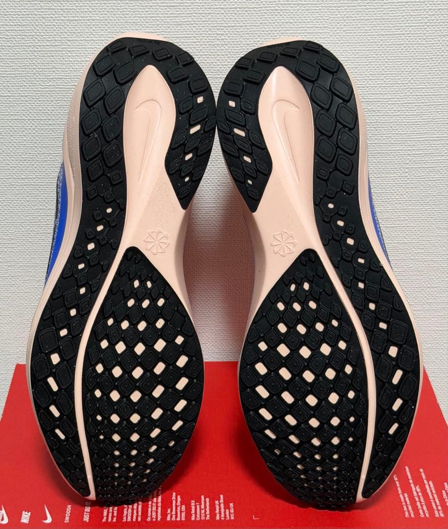 ナイキ ペガサス 41 NIKE Pegasus 41 27.5㎝