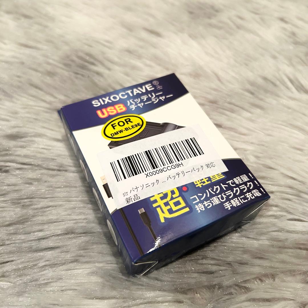 【完動品】Panasonic DMC-GF6X ミラーレスカメラ 14-42mm