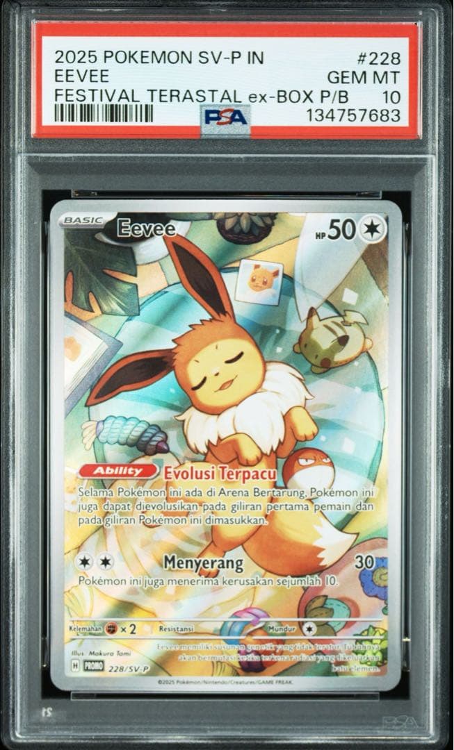 【インドネシア版】イーブイプロモ　インドネシア