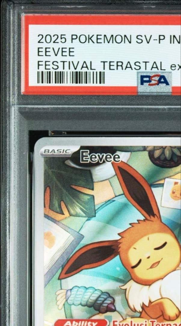 【インドネシア版】イーブイプロモ　インドネシア