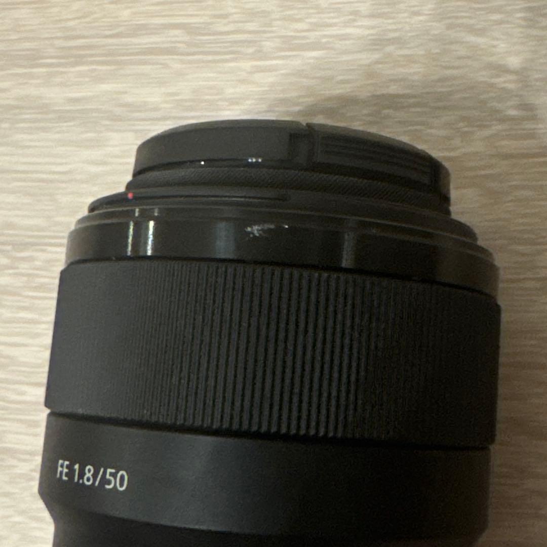 レンズ(単焦点) Sony fe 50mm f1.8