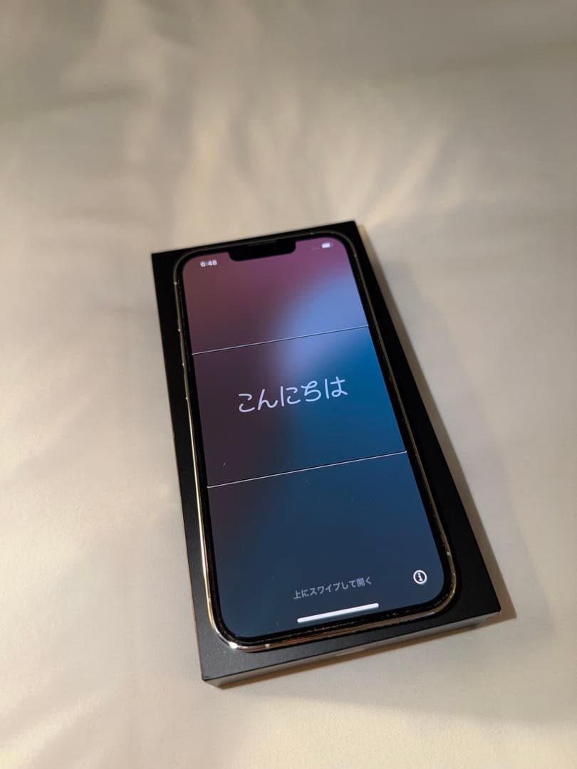 iPhone 13 Pro シルバー 256GB simフリー 消音機能有