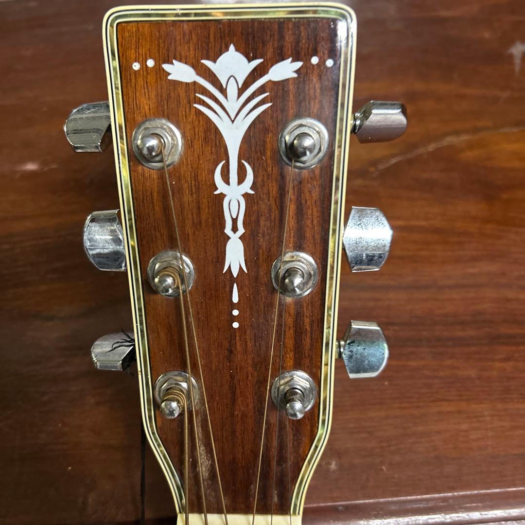 ARIA アコースティックギター スプルースボディ