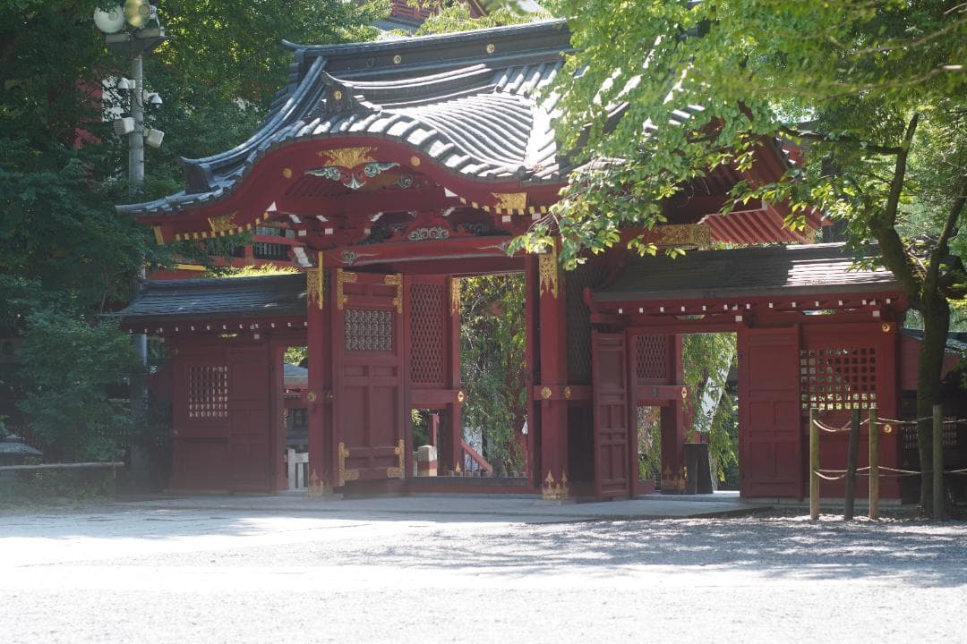 オリンパス OM-1 / OM-SYSTEM G.zuiko 50mm F1.4