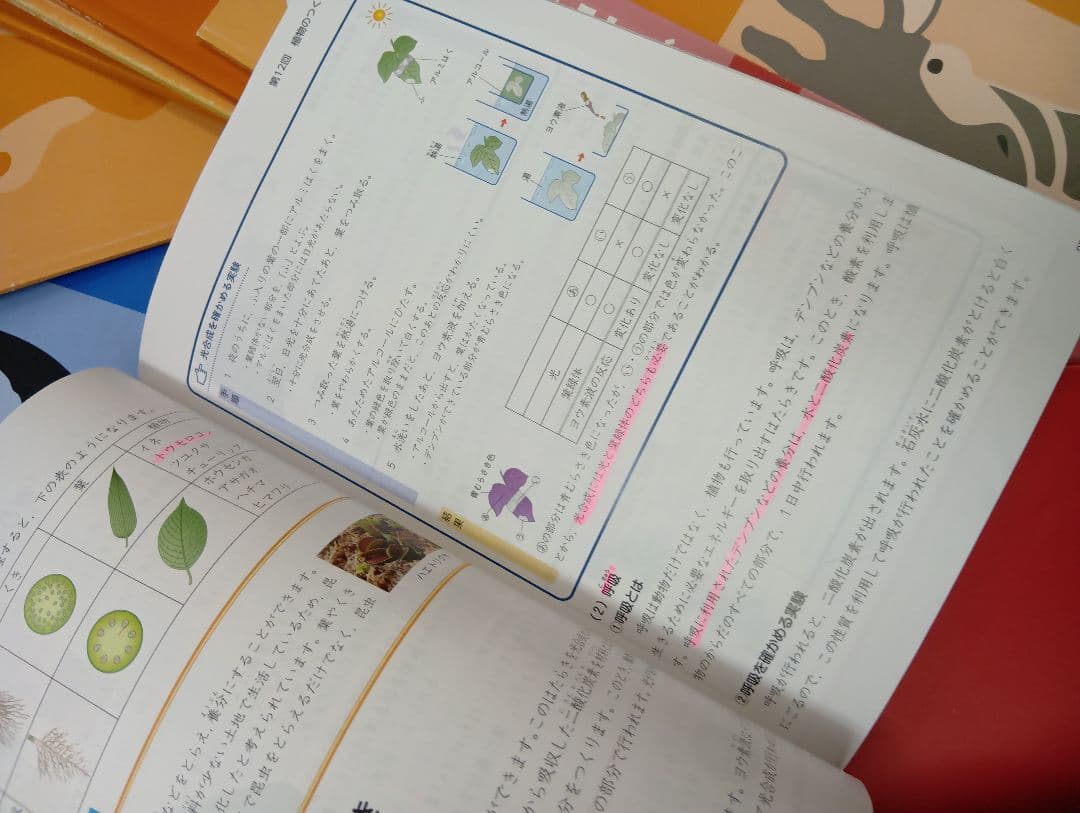 四谷大塚4年予習シリーズ国算理社/演習/漢字/上下　２０２２年度版　中古