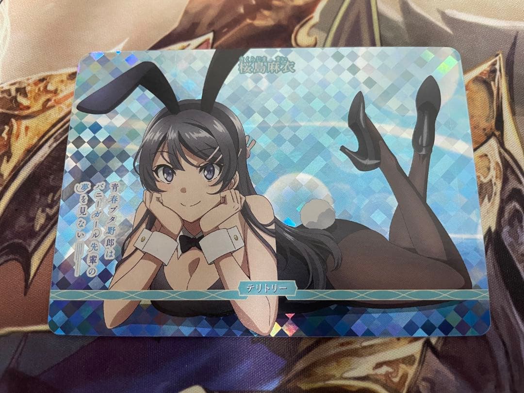 シュレディンガーの兎　桜島麻衣　VT テリトリー　ビルディバイド　青ブタ