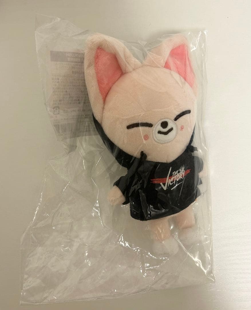 Stray Kids スキズ アイエン ミニ SKZOO