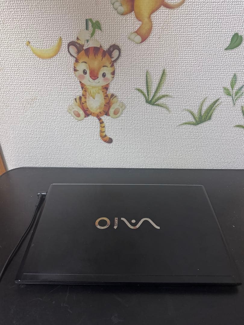 Windowsノート本体 VAIO Pro 13 (VJP132)