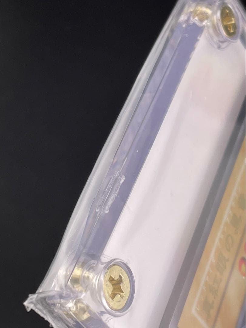 【未開封品】 真紅眼の黒竜　ステンレス　YCSJ 遊戯王デュエルモンスターズ