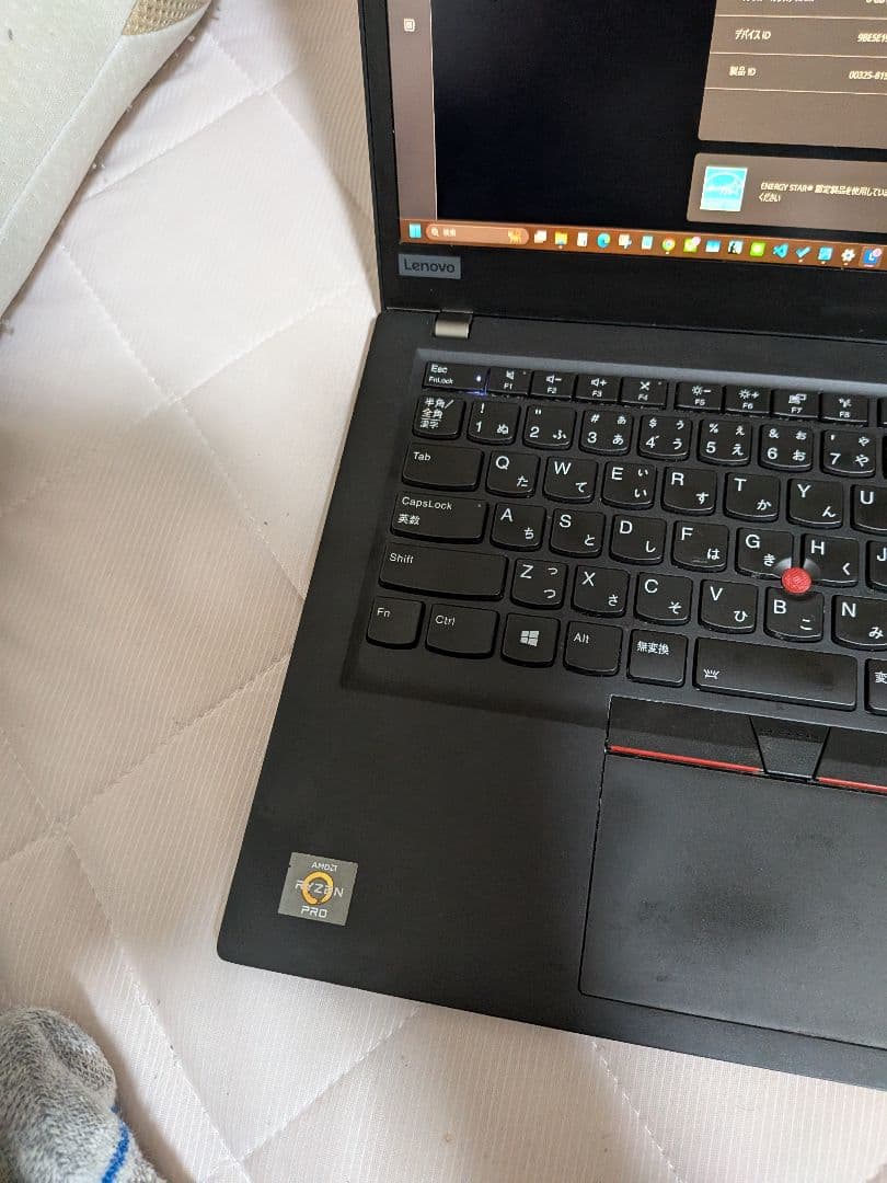 Windowsノート本体 Lenovo ThinkPad T495s