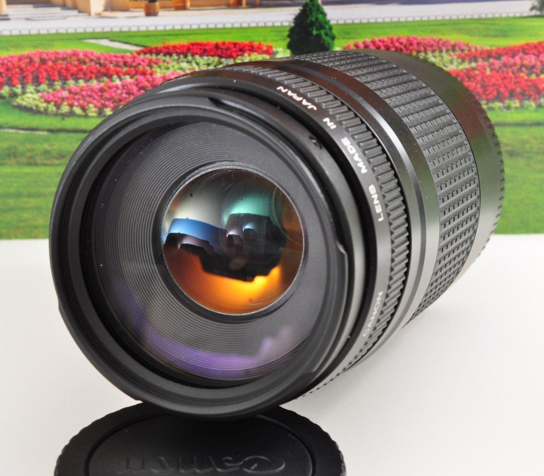 望遠レンズ キヤノン Canon 迫力の75-300mm レンズフード付き！