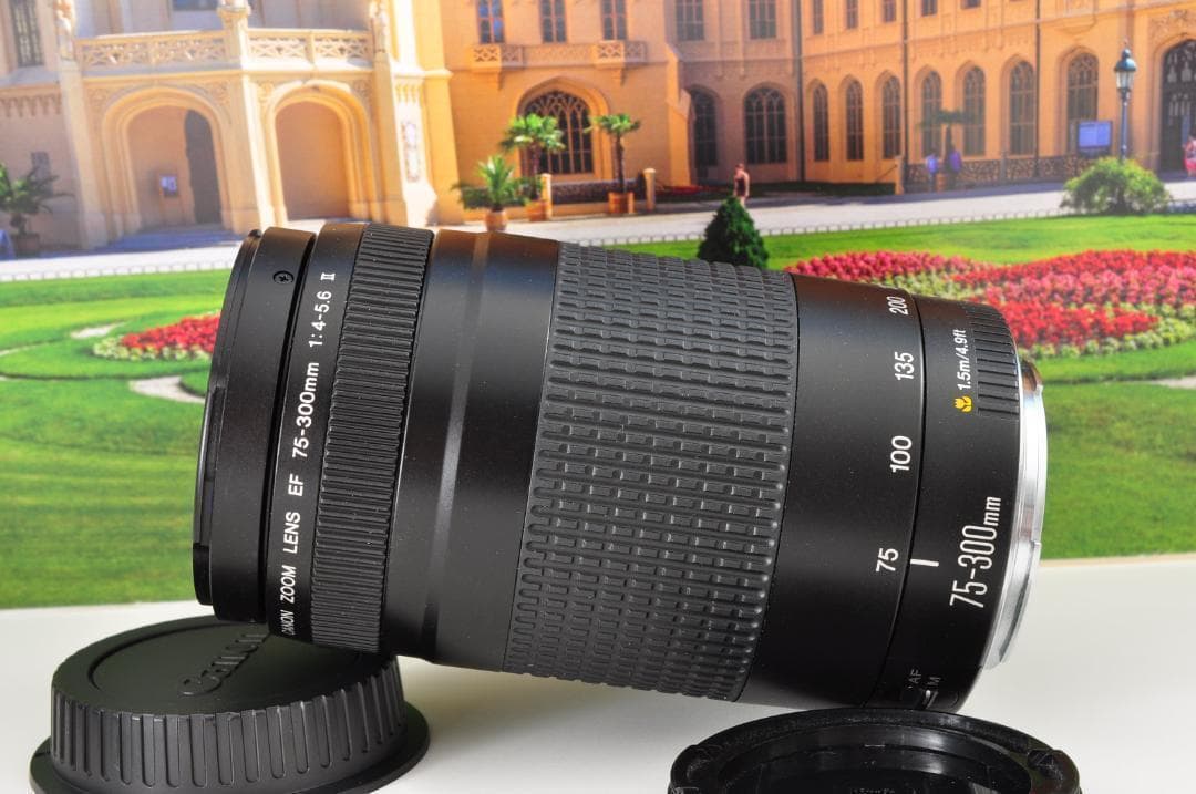 望遠レンズ キヤノン Canon 迫力の75-300mm レンズフード付き！