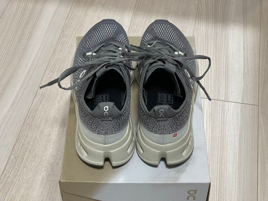 靴 on cloudsurfer max 25.5