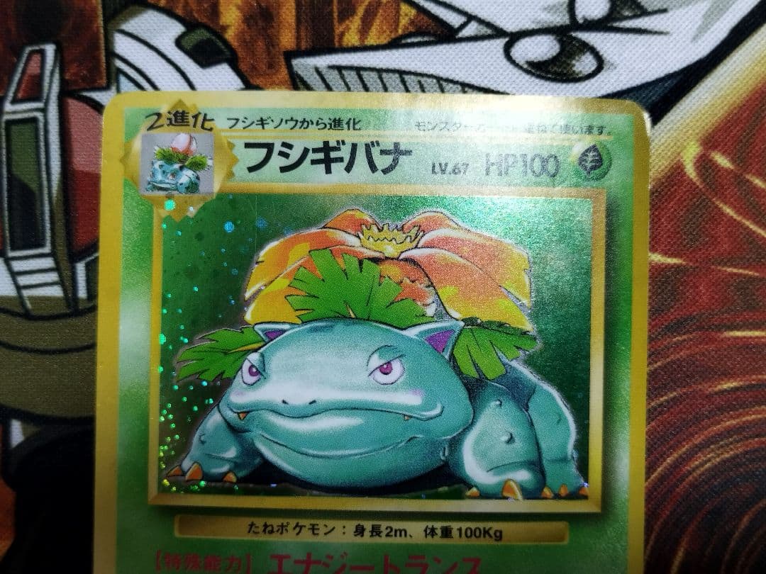 フシギバナ　リザードン　カメックス 旧裏★ 第1弾拡張パック　まとめ売り