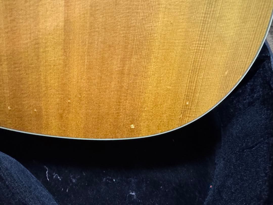 Taylor 214ce 純正ハードケース付き