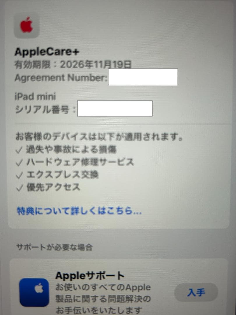 iPad mini Wi‑Fi + Cellular 128GB Aケア加入済み