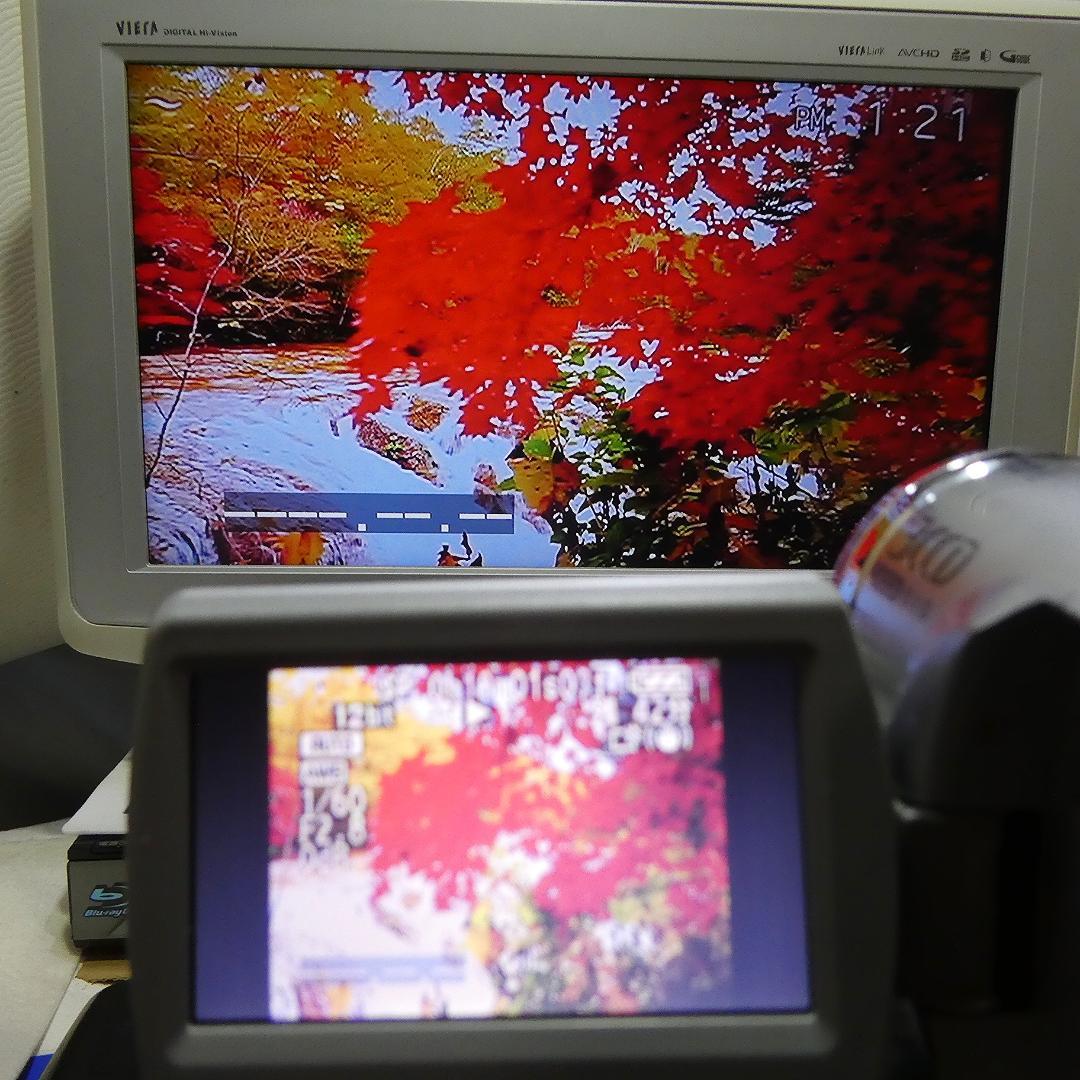 動作良好 パナソニック NV-GS300 MiniDVビデオDVDダビングに最適